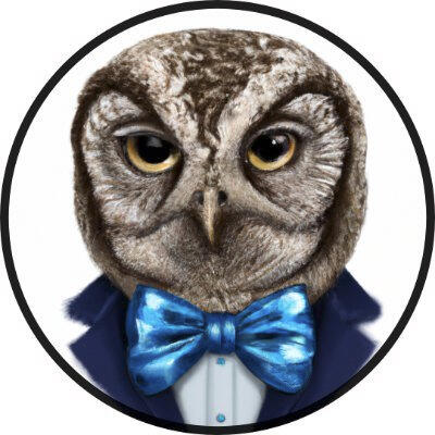 Bow Tied Owl Logo